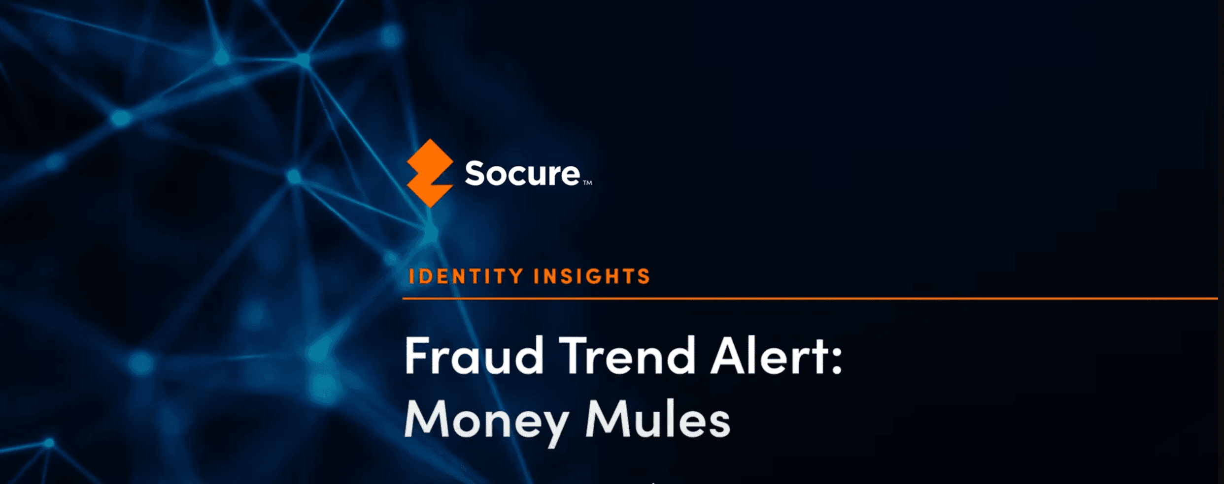 Fraud Trends: Money Mules
