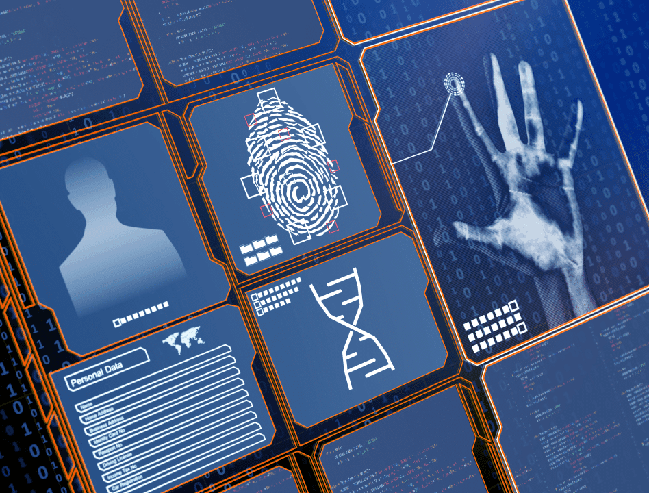 Synthetic Identity Fraud