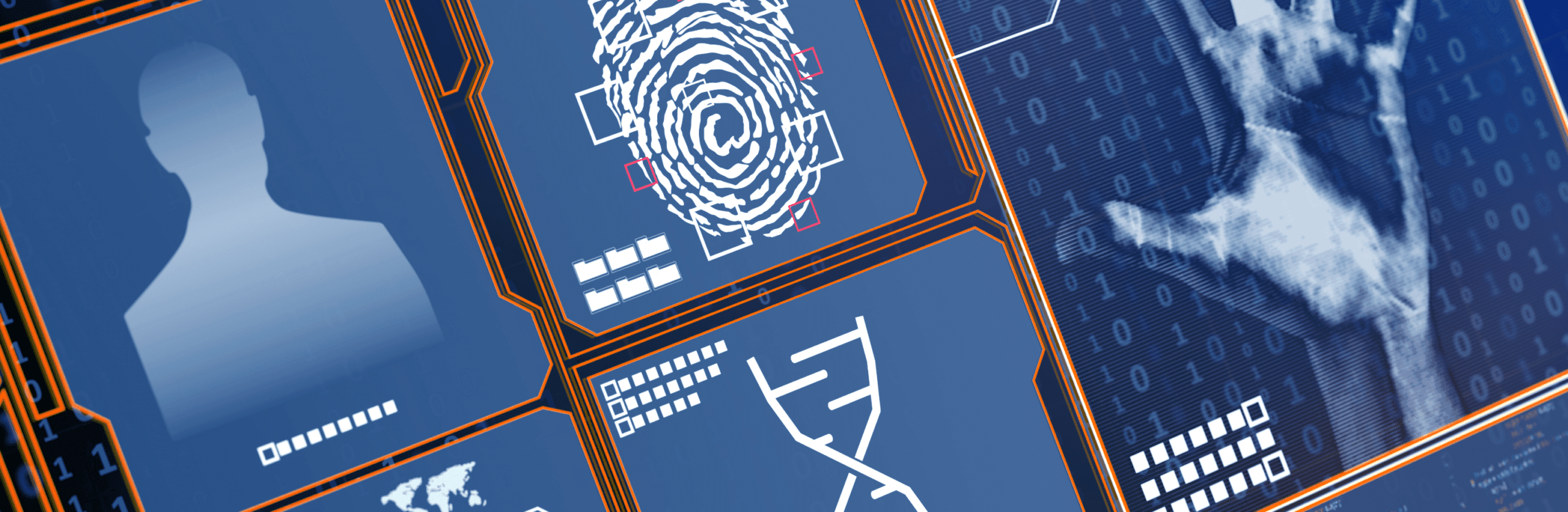 Synthetic Identity Fraud