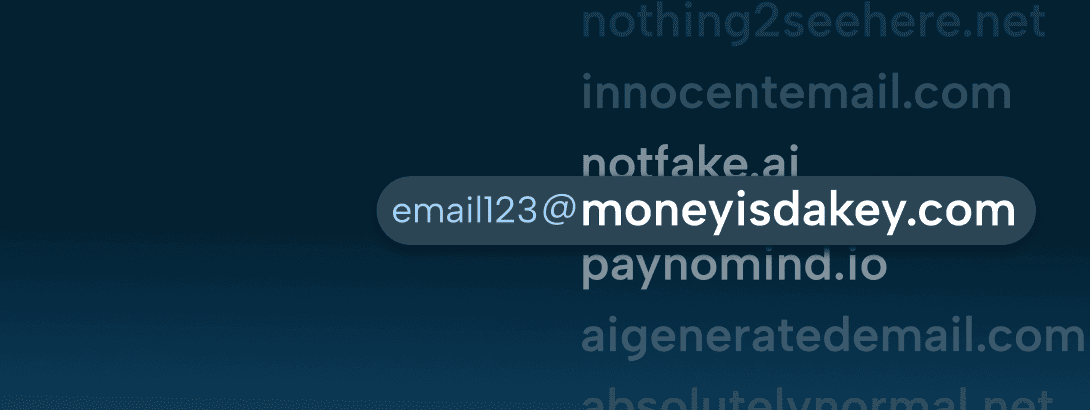 The Shape-Shifting Domains of Digital Fraud Rings