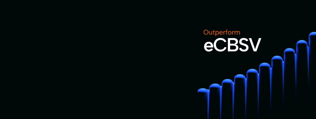 WEB_Blog on eCBSV_2025-11_banner